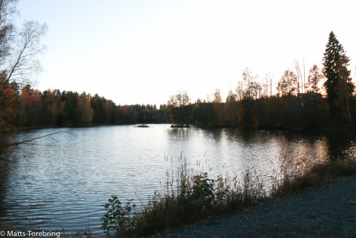 Framme vid dammfästet