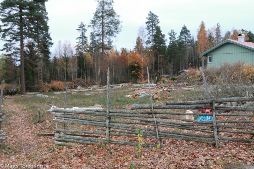 När gärdesgården var nere i kväll var det nedmörkt