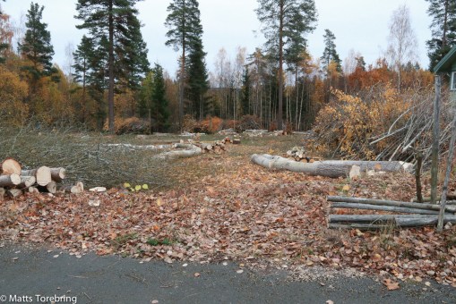 Nu väntar jag på en skotare som går ut med allt virke