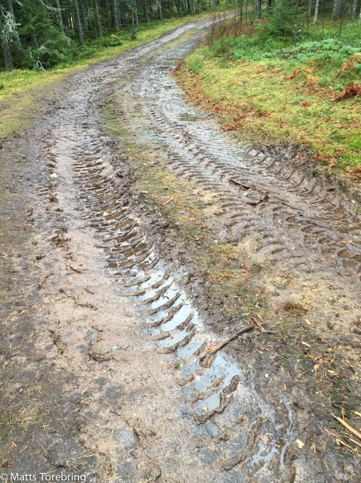 Eljusspåret idag på fars dag