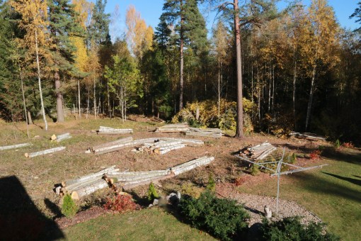 Matts Torebring har ved i överflöd