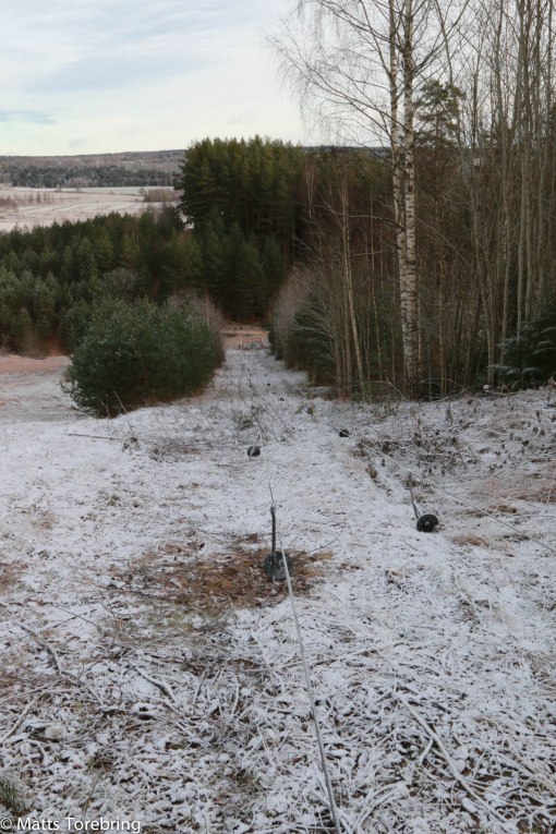 För någon månad sedan låg allt nedvuxet