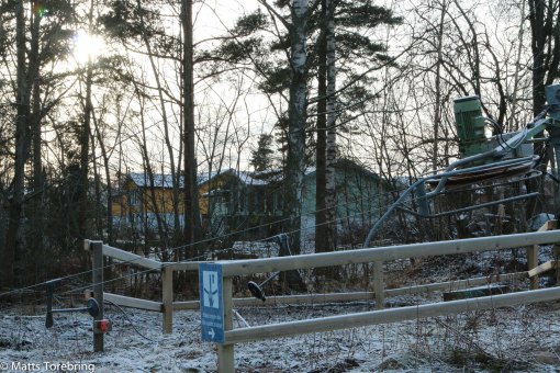 På andra sidan träden ligger vår ställplats