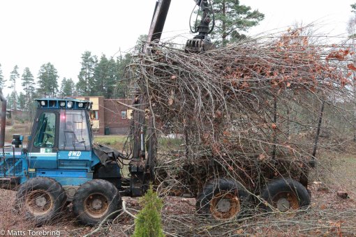 Som jag trälat med detta ris...