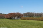 IMG_8616