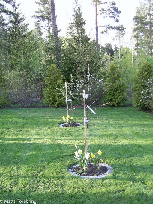 SAMSUNG DIGITAL CAMERA