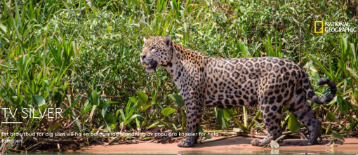 Skärmavbild 2017-03-22 kl. 19.00.16