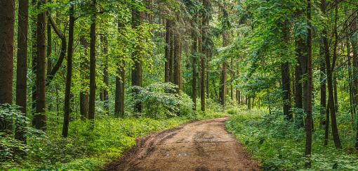 Skärmavbild 2017-07-08 kl. 13.26.21