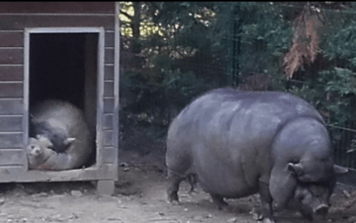 Skärmavbild 2017-11-05 kl. 09.15.20